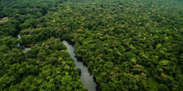 Le Ghana met un terme à l’exploitation minière dans ses forêts