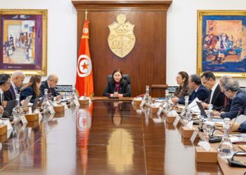 Voici ce que la Tunisie prévoit concrètement en matière d’énergies renouvelables. Détails