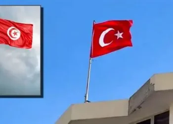 Un géant turc vise l’or vert tunisien: un tournant stratégique pour l’huile d’olive nationale