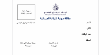 La Banque centrale fixe les règles pour les cartes et les missions de ses inspecteurs