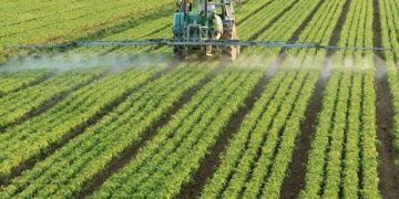 Voici combien le secteur agricole a attiré d’investissements cette année