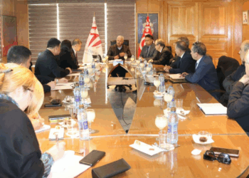 Un groupe chinois craque pour les trésors agricoles de Tunisie