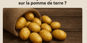 En 2026, il n’y aura pas de taxe sur la pomme de terre?