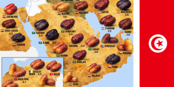 Dattes: la Tunisie classée parmi les 5 meilleures au monde par TasteAtlas