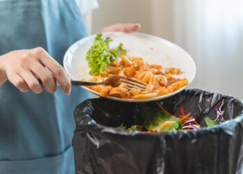 Monde: le gaspillage alimentaire coûtera 540 milliards de dollars cette année