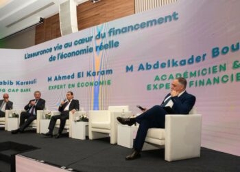 Entre précarité des pensions et besoin d’épargne nationale: l’assurance vie, pivot d’un nouveau pacte économique