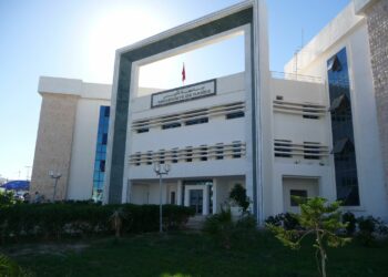 L’Université de Gabès en tête dans le domaine des sciences, selon le classement THE 2026