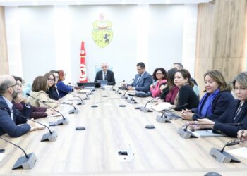 La télé-psychiatrie bientôt opérationnelle pour rapprocher les soins des Tunisiens