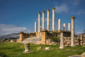 Forum et ses annexes Thuburbo Majus Photographer:Skander Zarrad