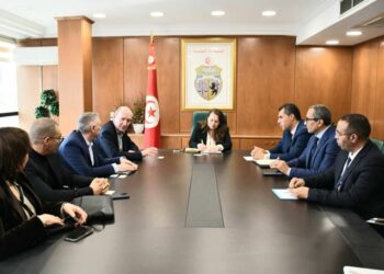 Asteel Flash mise sur la Tunisie pour grandir