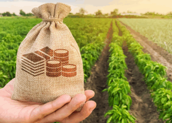 Agriculture: 6 gouvernorats sont concernés par ce fonds d’investissement