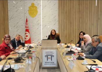 La réunion a rassemblé les membres du Conseil national des normes des comptes publics et des cadres du ministère des Finances. Elle a porté sur l’examen et l’approbation de cinq projets de normes comptables visant à moderniser le système de comptabilité publique et à renforcer la transparence financière de l’État.