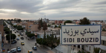 Jadis sous-estimée, Sidi Bouzid s'impose aujourd'hui comme un moteur clé de l'investissement en Tunisie. La région, désormais en tête des investissements nationaux, est à l'avant-garde des énergies renouvelables. Cette image capture la vitalité d'un territoire qui allie agriculture traditionnelle et projets d'avenir, témoignant de sa transformation en un pôle économique stratégique pour la transition énergétique du pays.