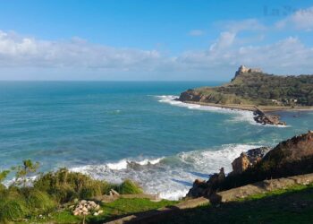 Le projet phare de 300 MDT à Jendouba est la véritable locomotive de l'année. Il représente à lui seul près de la moitié des investissements touristiques déclarés en Tunisie au premier semestre 2025.