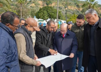 Sidi Bou Saïd : le port de plaisance va enfin être rénové