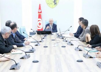 Tunisie: vers la mise en place d’équipes multidisciplinaires dans les hôpitaux au service des patients diabétiques