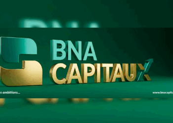 Walid Sakka nommé directeur général de BNA Capitaux