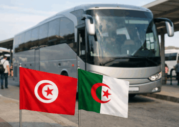 Deux nouvelles lignes de bus Tunisie–Algérie: dates, horaires et tout ce qu’il faut savoir