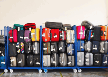 L’aviation africaine enregistre une hausse de 11,7% de son trafic passagers en janvier 2026