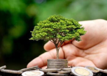 Bonne nouvelle pour les porteurs de projets verts en Tunisie : une ligne de financement dédiée vient d’être lancée