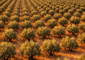 On exporte plus, on importe moins: la Tunisie fait mieux qu’en 2025