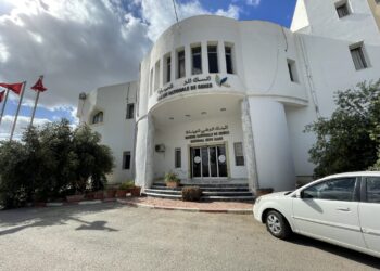 Des chercheurs tunisiens dévoilent les séquences génomiques complètes des variétés emblématiques de blé dur Mahmoudi et Chili