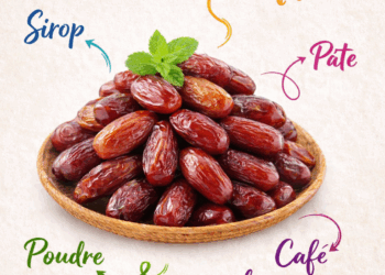 À l’export, la datte bio tunisienne séduit d’abord l’Allemagne