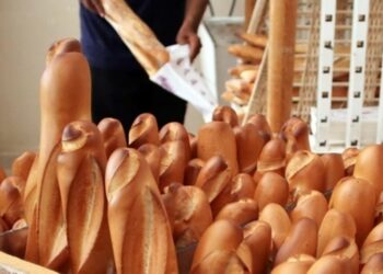 603 millions de dinars perdus chaque année faute de réformer le pain