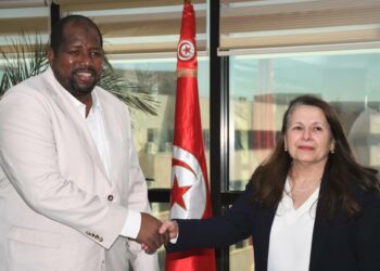 Le Niger mise sur le savoir-faire tunisien pour développer ses zones industrielles dans ces secteurs. Détails