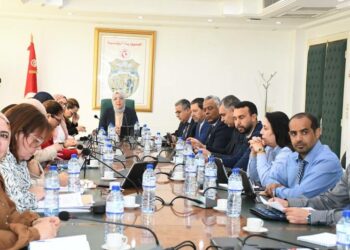 Industrie en Tunisie : 3 nouveaux projets validés pour près de 65 millions de dinars d’investissements