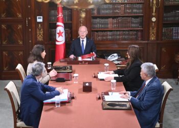 Tunisie: Kaïs Saïed met fin aux fonctions de la ministre de l’industrie et confie l’intérim à Salah Zouari