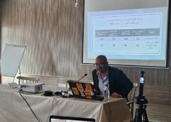 Tunisie: la Fédération de l’électricité alerte sur un déséquilibre de la transition énergétique
