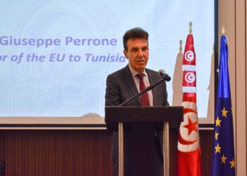 Tunisie–UE: mobilité circulaire, visas et financement au cœur des échanges