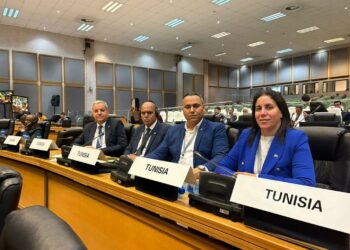 Deux députés tunisiens accèdent à des postes stratégiques au Parlement africain à Midrand