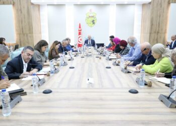 Aéroports, ports, postes terrestres… La Tunisie renforce sa vigilance sanitaire face aux risques Ebola et Hantavirus