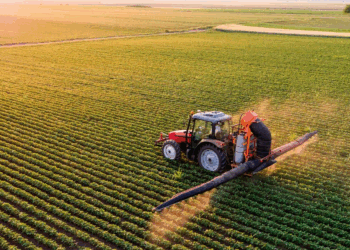 La Tunisie séduit les investisseurs, mais pas encore pour son agriculture