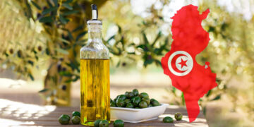 Huile d’olive tunisienne : les exportations de l’huile conditionnée bondissent de 69 % en 2026