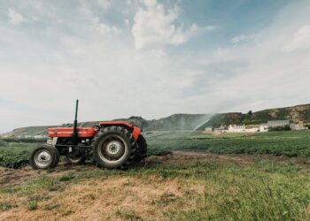 Tunisie: feu vert à des investissements agricoles et halieutiques de 10,8 millions de dinars