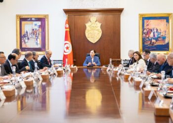 Pont de Bizerte, hôpitaux, autoroute Tunis-Jelma… Le gouvernement met la pression pour accélérer les chantiers