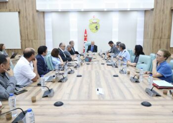 Santé numérique: une première expérimentation de déclaration des naissances dématérialisée en Tunisie