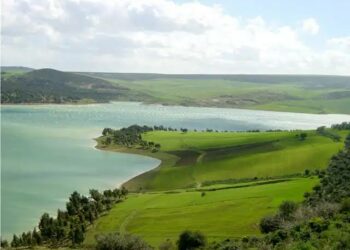 La Tunisie décroche 2 millions de dollars pour restaurer le lac Ichkeul