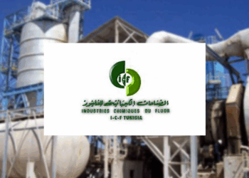 ICF : quels dividendes seront versés aux actionnaires au titre de 2025 ?