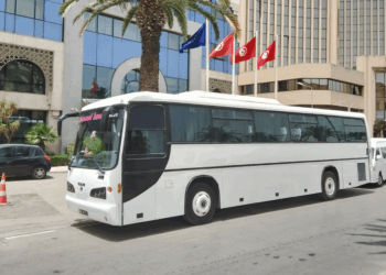 Transport touristique en Tunisie : parc vieillissant et permis bloqués freinent la relance du secteur