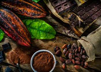 Chocolat sans cacao: une nouvelle disruption en marche sur le marché mondial