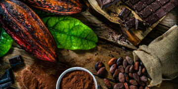 Chocolat sans cacao: une nouvelle disruption en marche sur le marché mondial