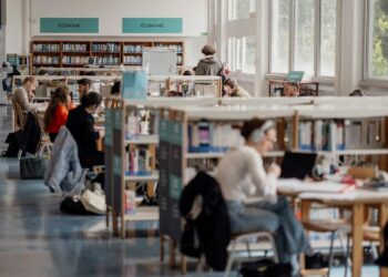 Orientation universitaire: le mirage des diplômes face à l’emploi