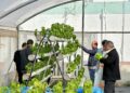 Comment produire plus avec moins d’eau? La startup Grow It Yourself répond