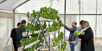Comment produire plus avec moins d’eau? La startup Grow It Yourself répond