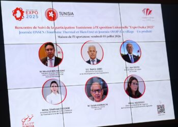 Comment le modèle japonais inspire la stratégie de développement de la Tunisie