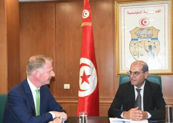 Un géant allemand de la porcelaine en Tunisie: que faut-il savoir ?